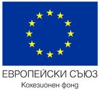 EU Logo